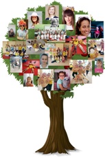 s drzewko zycliwosci