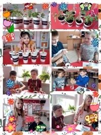 m GridArt 20220521 104047672