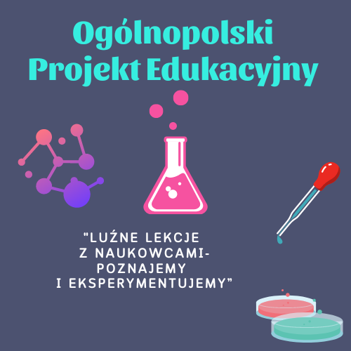 luzne lekcje swietlica projekt